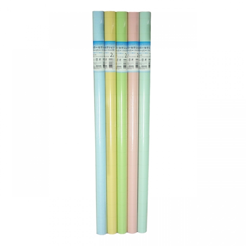 カラーセクションペーパー　2P