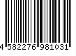 4582276981031