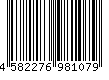 4582276981079